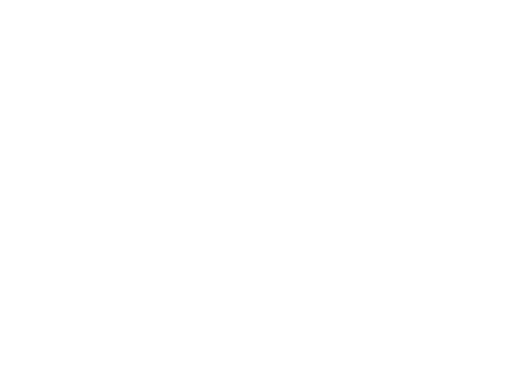 Budzy Box